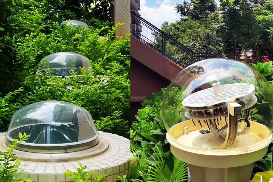 A Physics-Based Comparison of Optical Design, Efficiency, and Real-World Performance